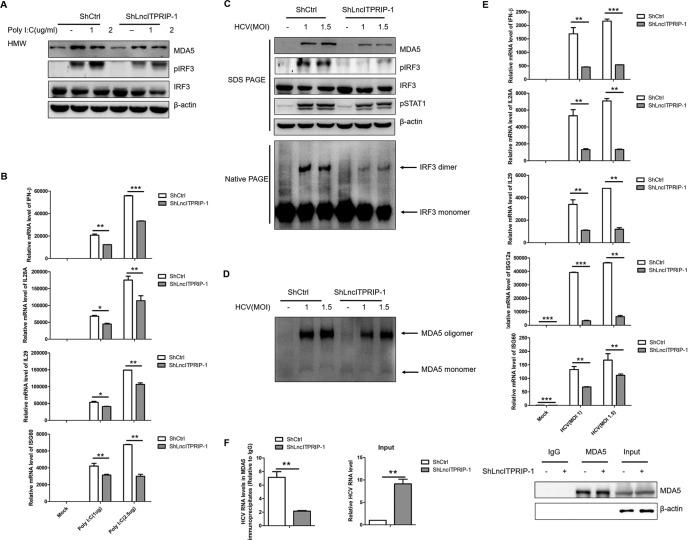 FIG 9