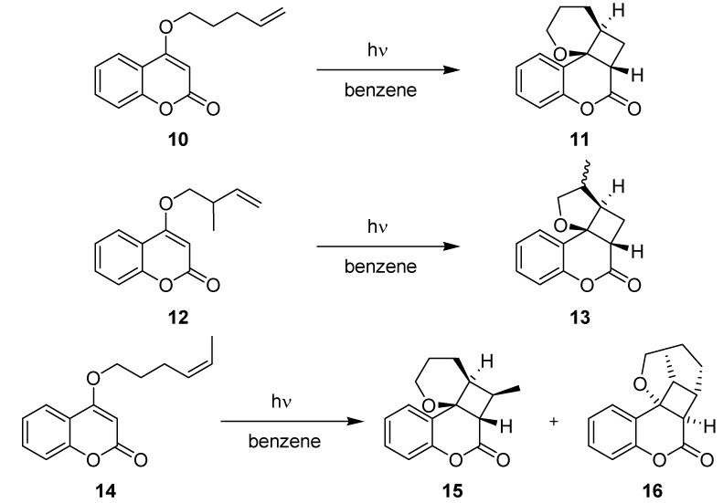 Scheme 4