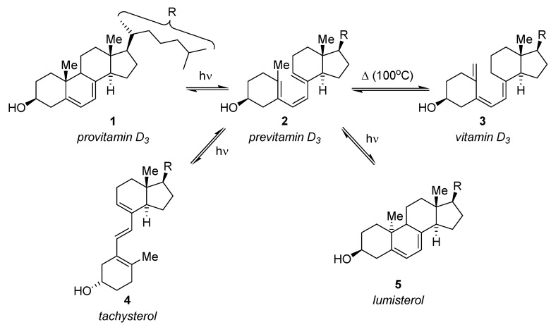 Scheme 1