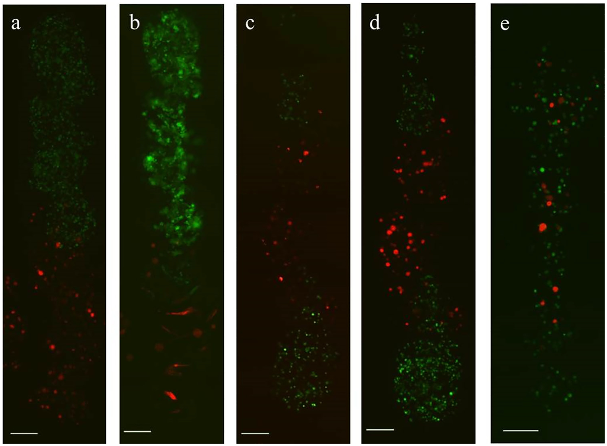 Figure 7.