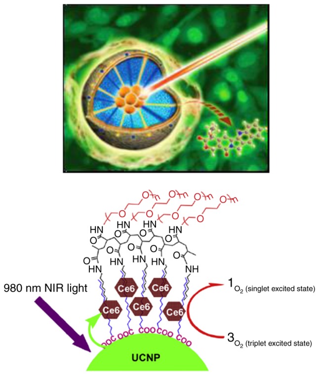 Figure 6.