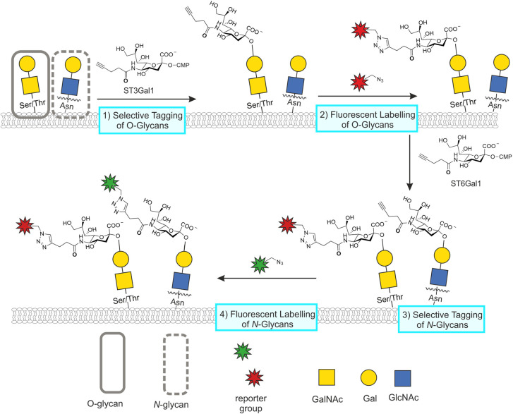 Figure 4.