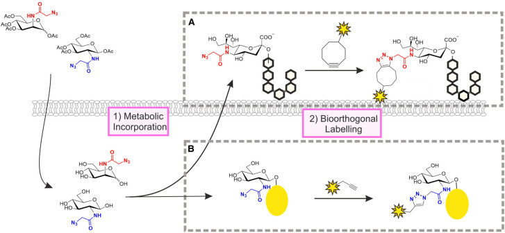 Figure 3.