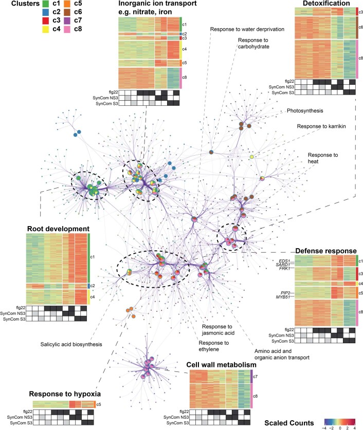 Extended Data Fig. 7