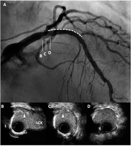 Figure 4.