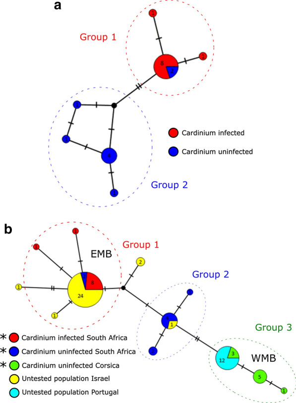 Fig. 1