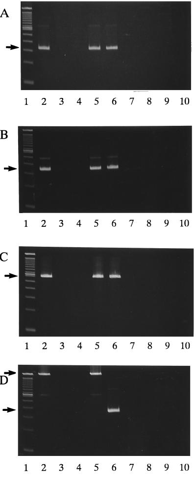 FIG. 1