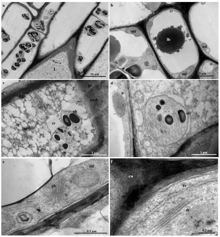 Figure 10