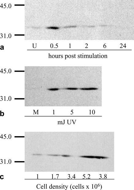 Fig. 2a-c