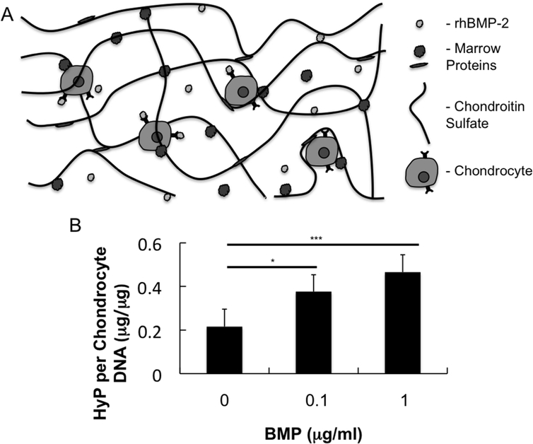 Fig 2.