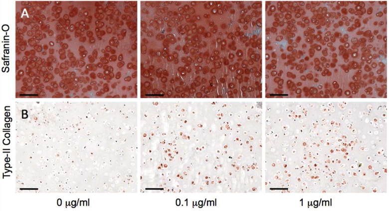 Fig 3.