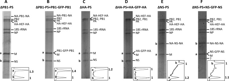 Fig 5