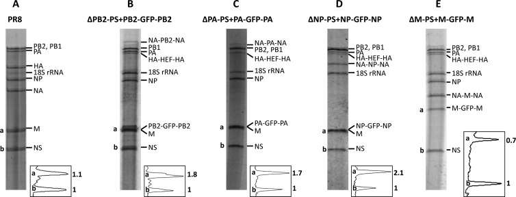 Fig 4