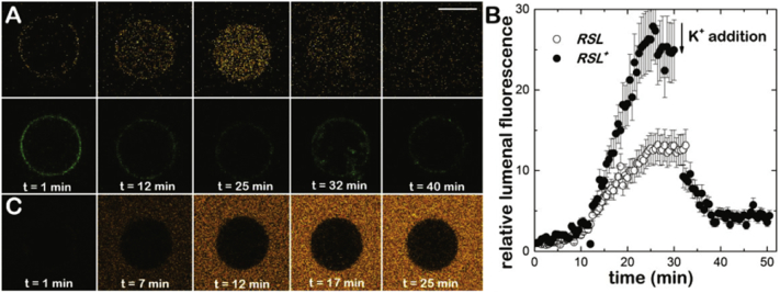 Fig. 4