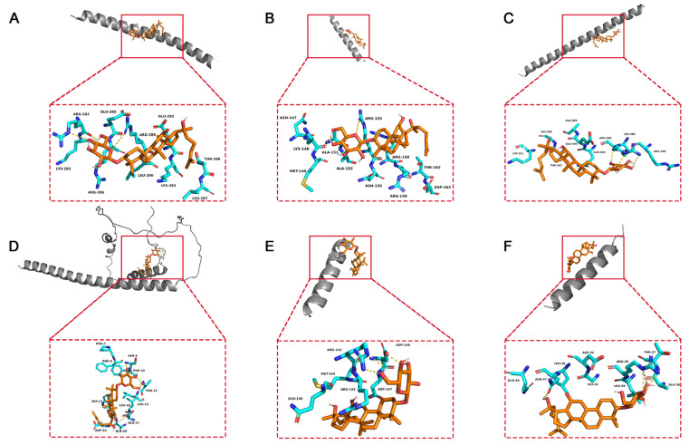 Figure 10