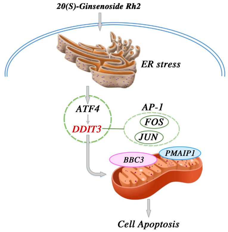 Figure 11