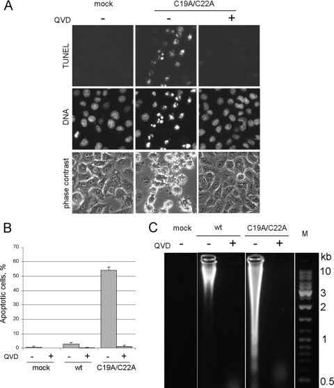 FIG. 6.