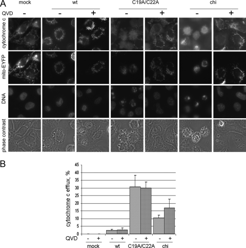 FIG. 9.