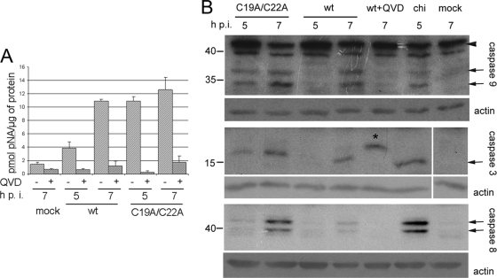 FIG. 8.