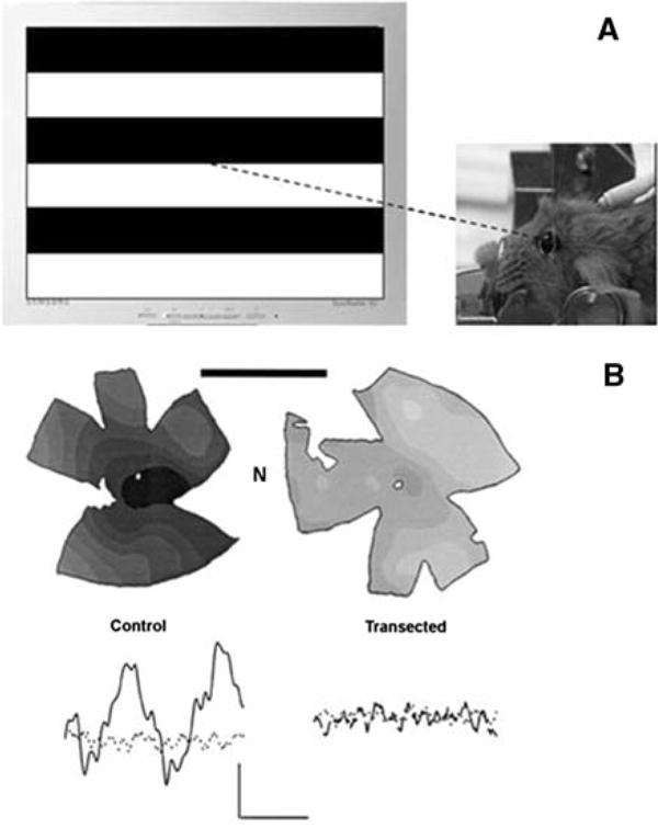 Fig. 2