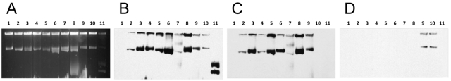 FIG 2 