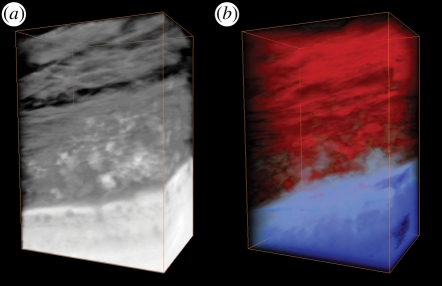 Figure 4.