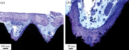 Figure 2.