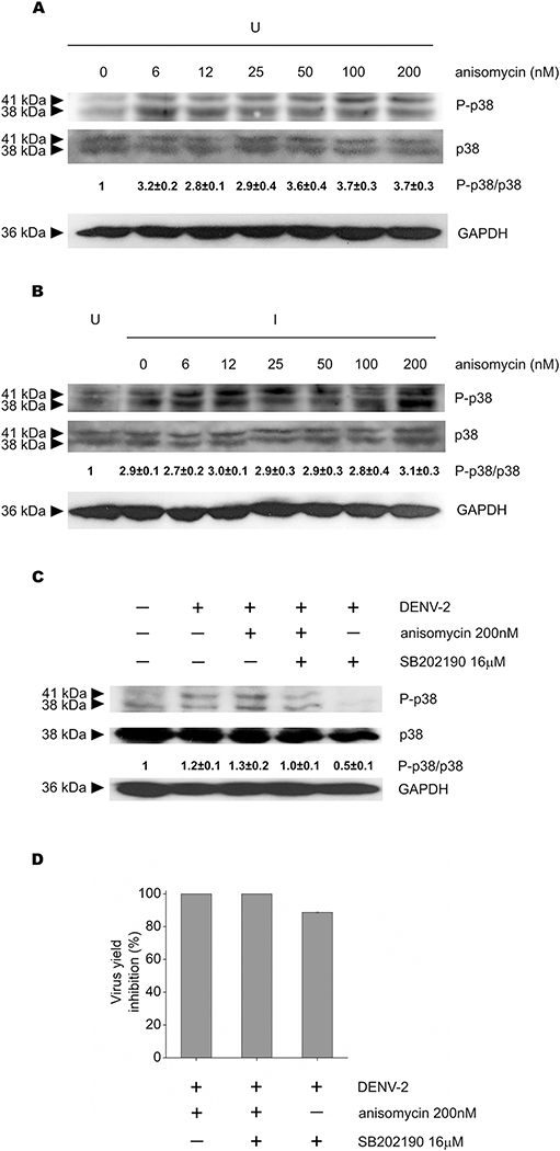 Figure 6: