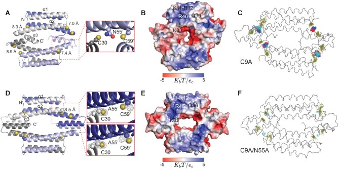 Figure 5.