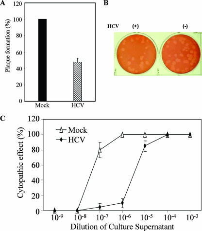 FIG. 6.