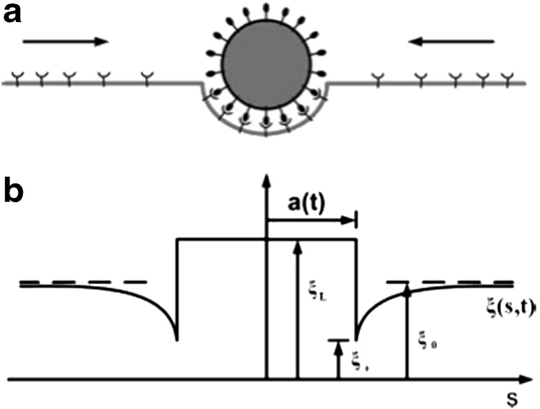 Fig. 5