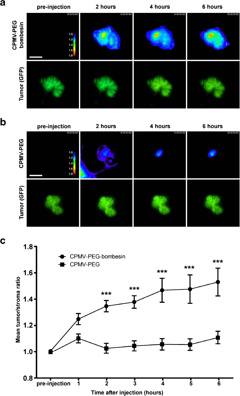 Fig. 3