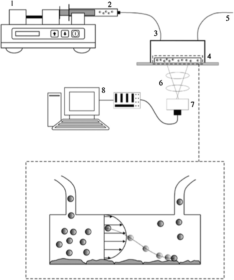 Fig. 7