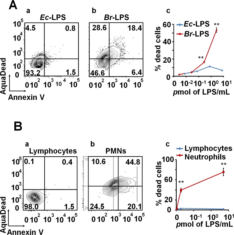 Fig 6