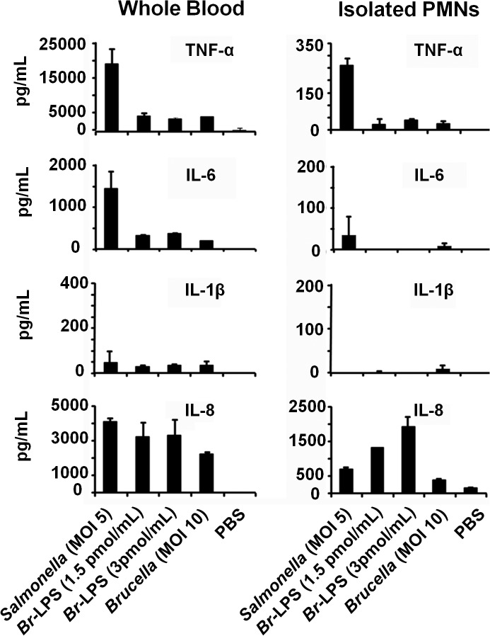 Fig 13