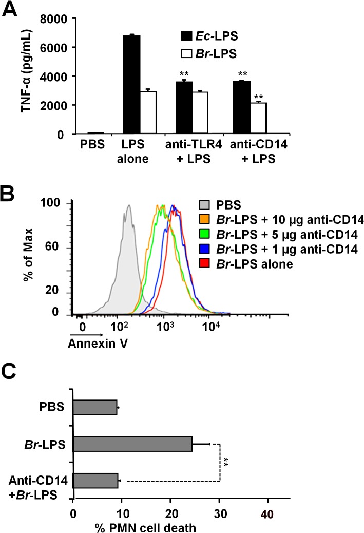 Fig 9