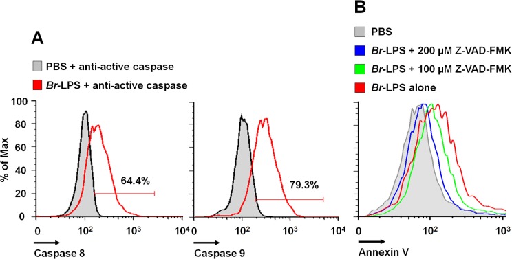 Fig 12