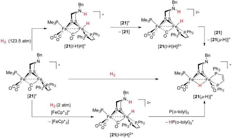 Figure 30