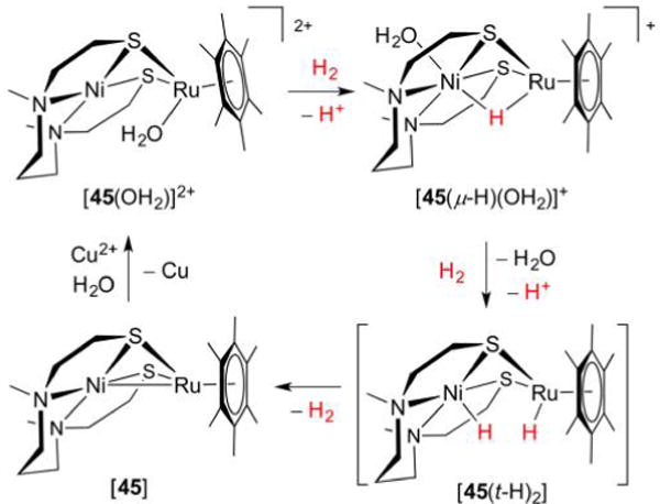 Figure 45