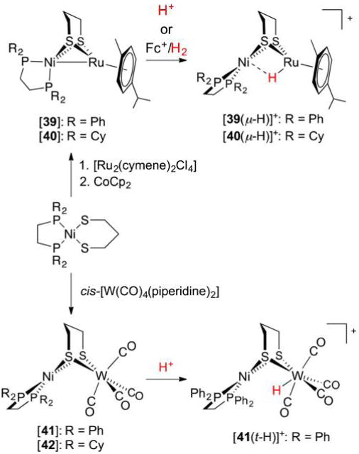 Figure 40