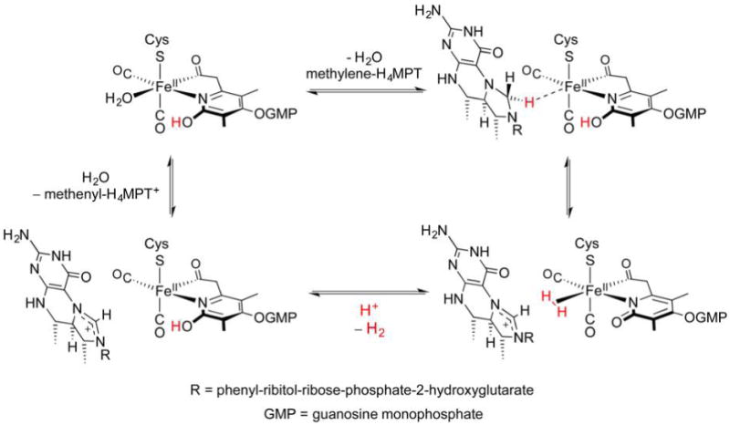 Figure 51