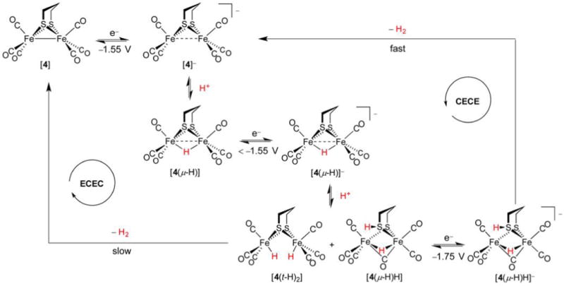 Figure 24