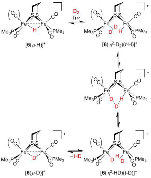 Figure 29