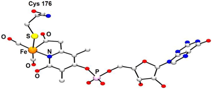 Figure 50