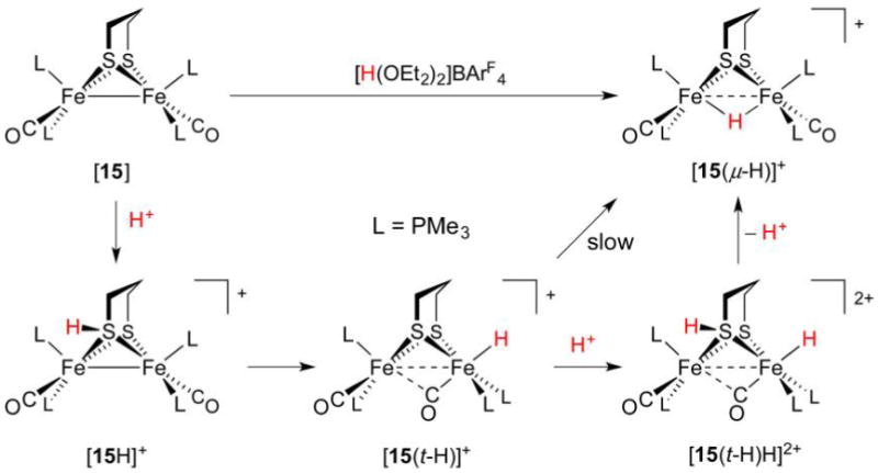 Figure 20