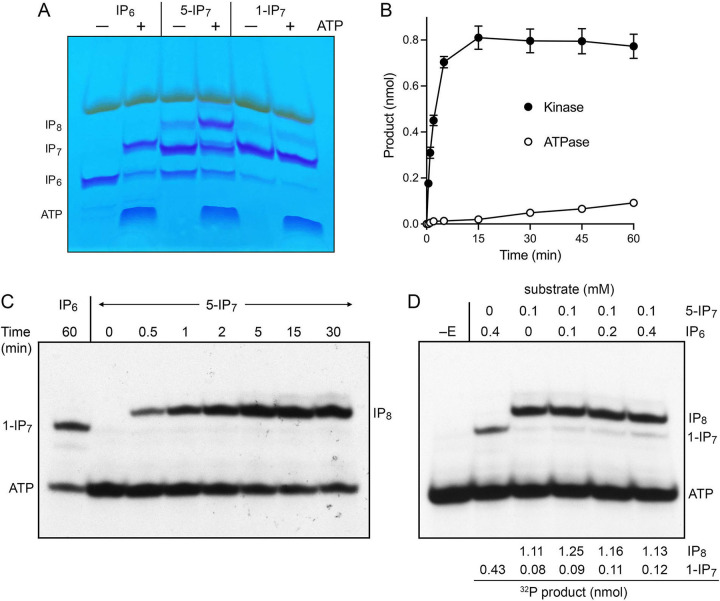 FIG 4