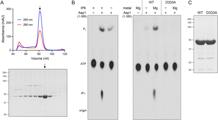 FIG 1