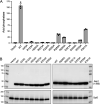 FIG 8