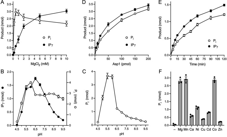 FIG 2