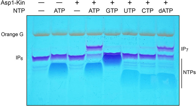 FIG 3